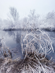 Illa berek, nádak, erek… 9.
