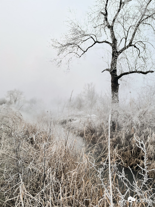 Illa berek, nádak, erek… 15.