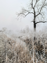 Illa berek, nádak, erek… 15.