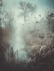 Illa berek, nádak, erek… 17.