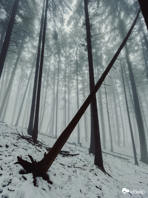 Óriások kertje. 1.