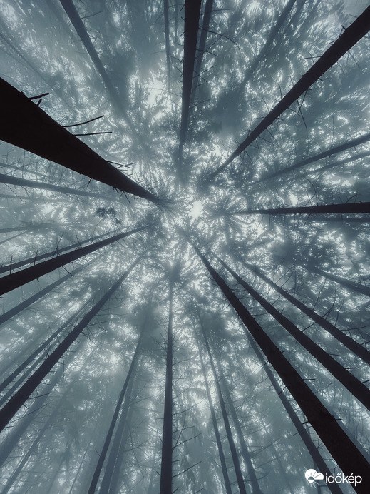 Óriások kertje. 4.