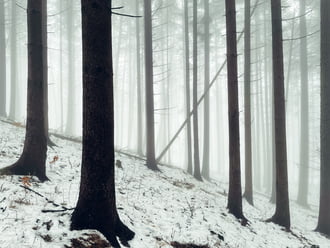 Óriások kertje. 5.