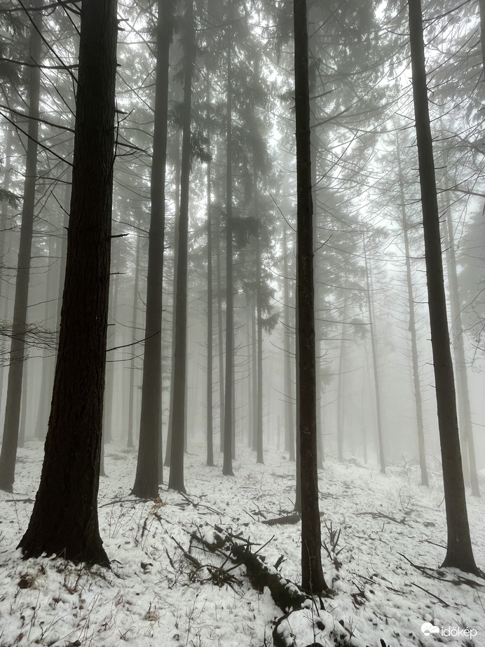 Óriások kertje. 10.