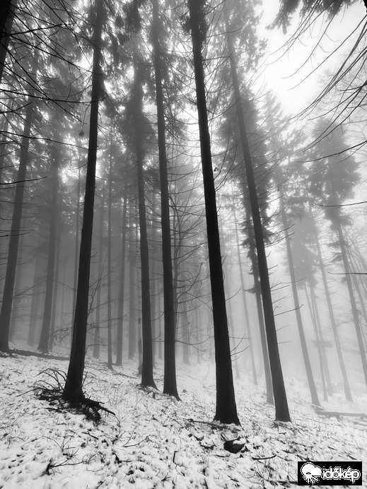 Óriások kertje. 11.