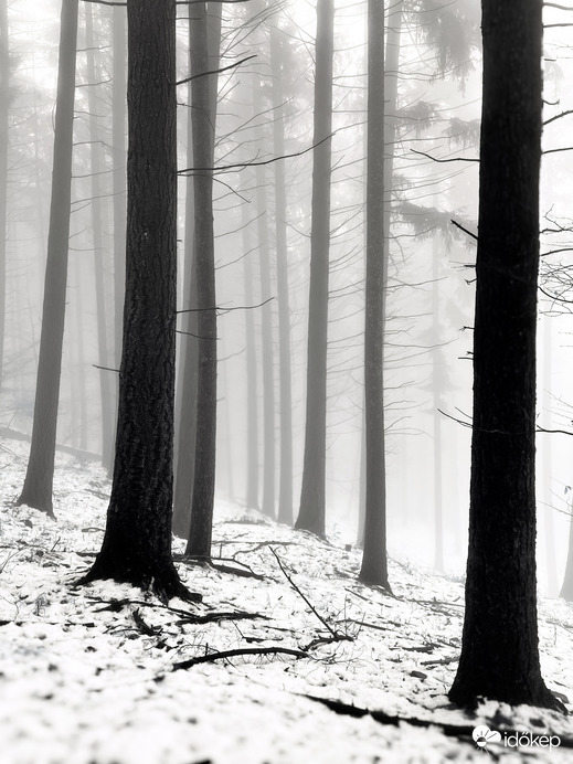 Óriások kertje. 13.