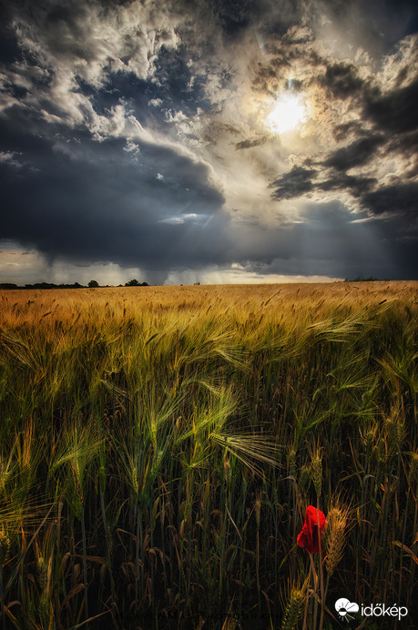 heavenman fotója