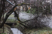 Jégvarázs 5.