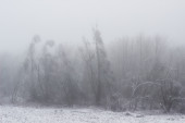 A jég súlya alatt 1.
