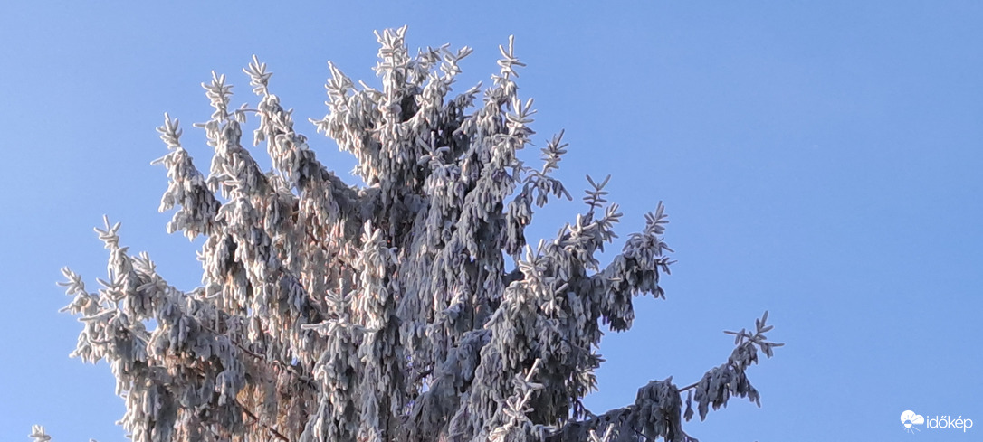 Tél szépsége.