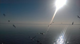 hegeduszsuzsa fotója