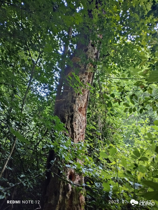 Nemesbük