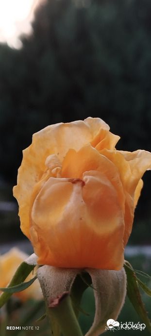 Nemesbük
