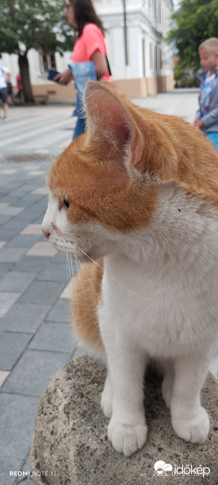 Nemesbük
