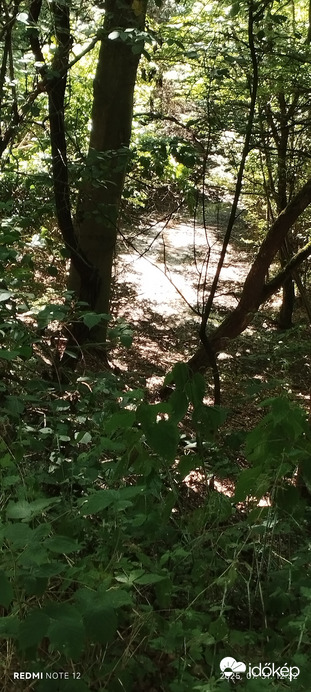 Nemesbük