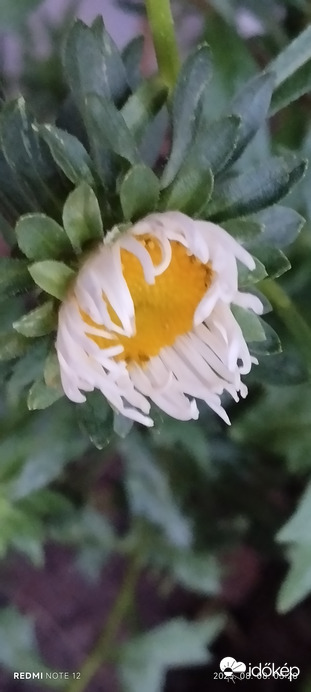Nemesbük