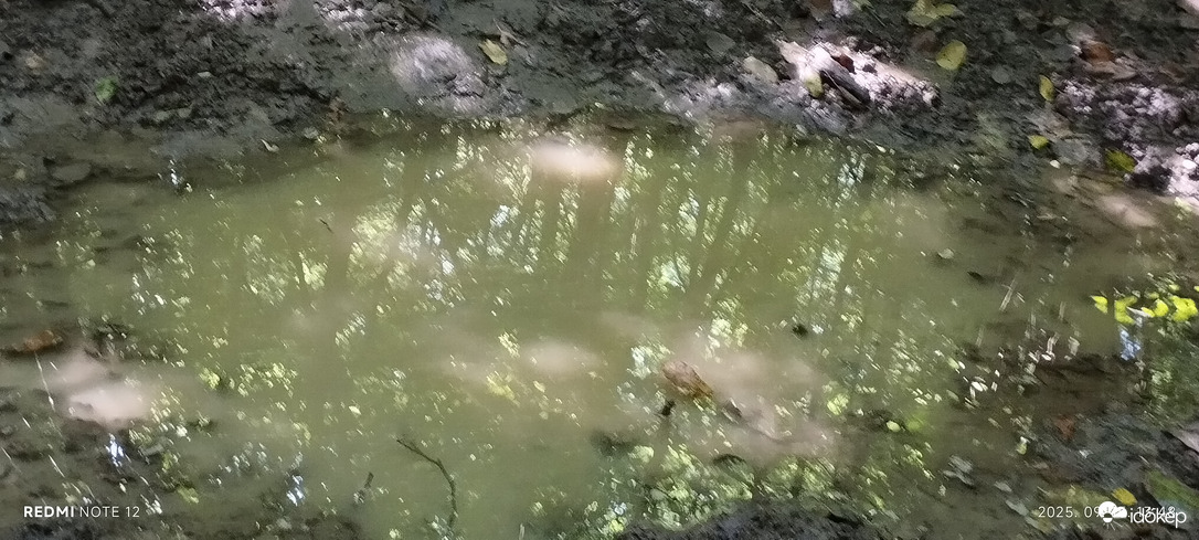 Nemesbük