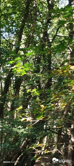 Nemesbük