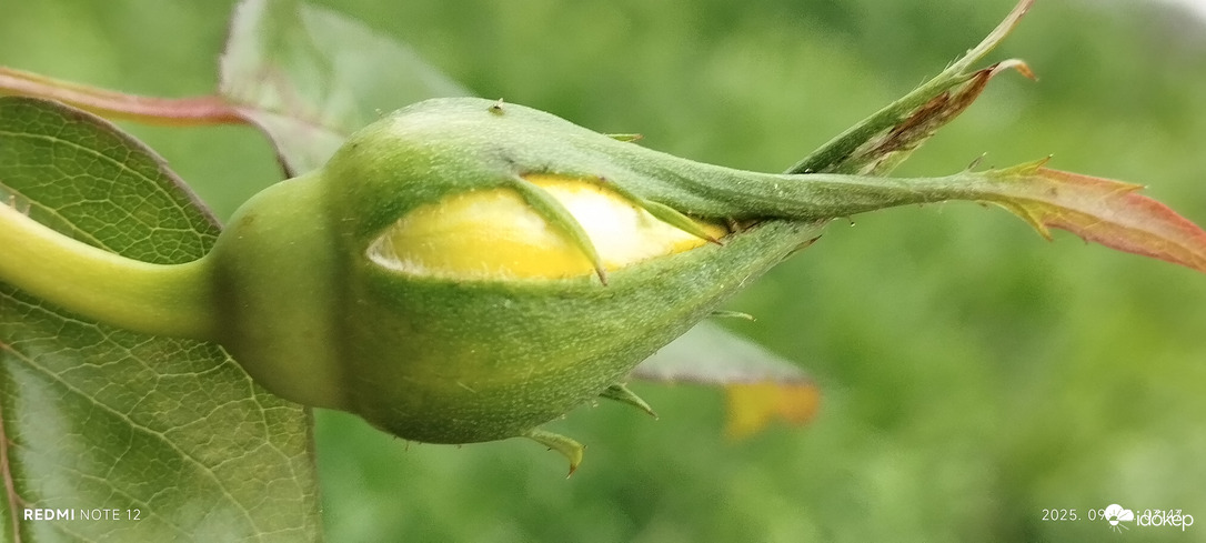 Nemesbük