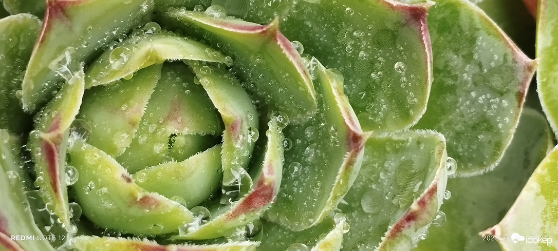 Nemesbük