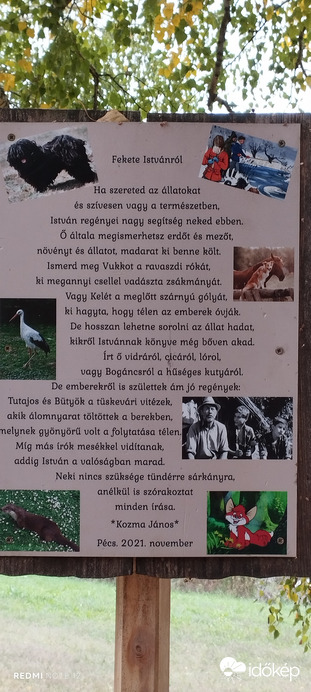Nemesbük