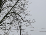 Szabadegyháza