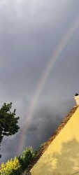 Erdőkertes