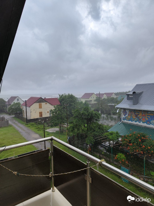 მალთაყვა (Maltakva)