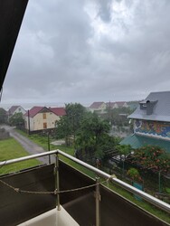 მალთაყვა (Maltakva)