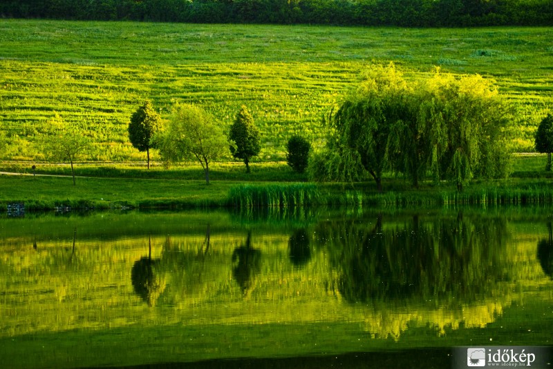 Tükör..