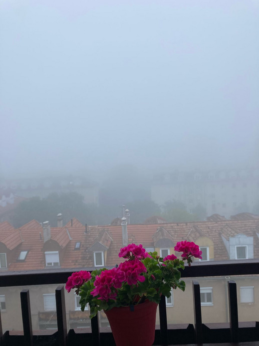 illusztráció