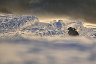 Hófúvás közepette 