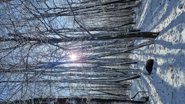 Winter wonderland