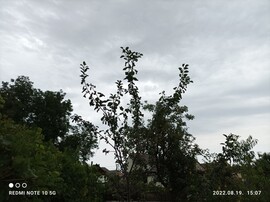 Döbrököz