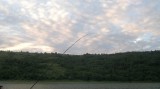 Hajlik a feeder