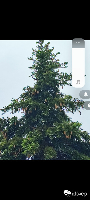 Sajószöged
