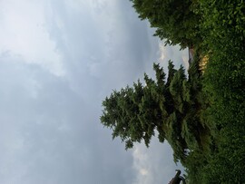 Karácsond