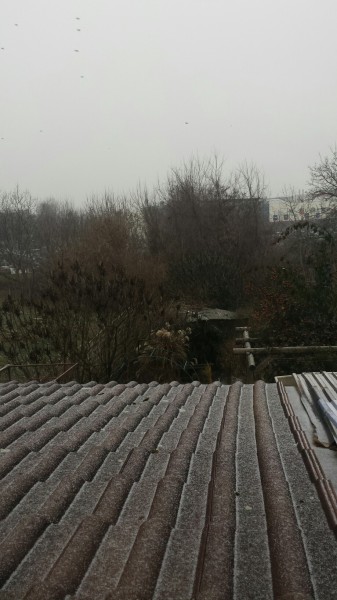 Nyíregyháza