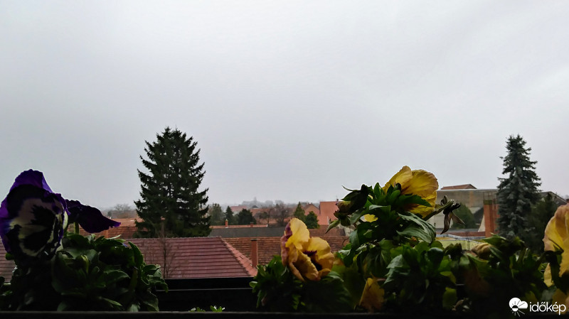 Kiskunmajsa
