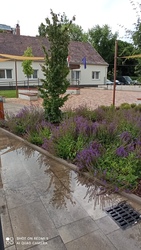 Kiskunmajsa