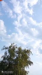 Kiskunmajsa