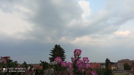 Kiskunmajsa