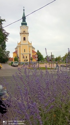 Kiskunmajsa