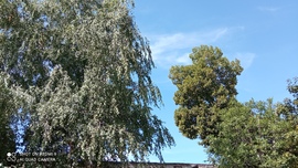 Kiskunmajsa