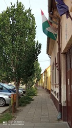 Kiskunmajsa