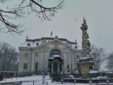 hibiszkusz fotója