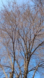 Kiskunmajsa