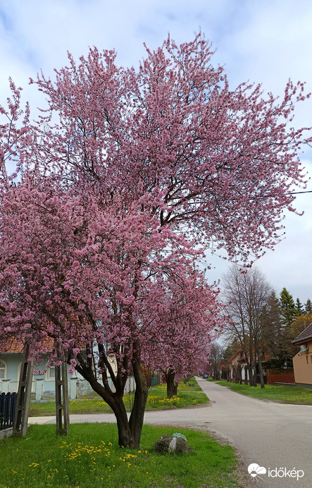 Kiskunmajsa