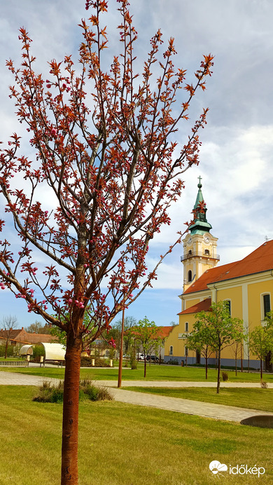 Kiskunmajsa