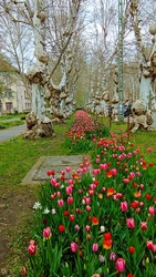 Kiskunmajsa